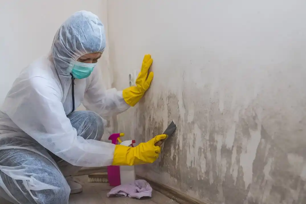 water damage restoration service Westmere